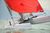 Catamarans de classe internationale