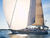 Voiles de croisi�re : Spinnakers, Gennakers