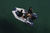 Bateaux pneumatiques : annexes pliables