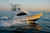 Bateaux de p�che sportive : vedettes 9.5�-�15�m