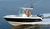 Bateaux � moteur : Canots, Coques opens, Walkarounds