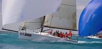 voile de course