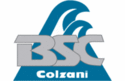 BSC logo