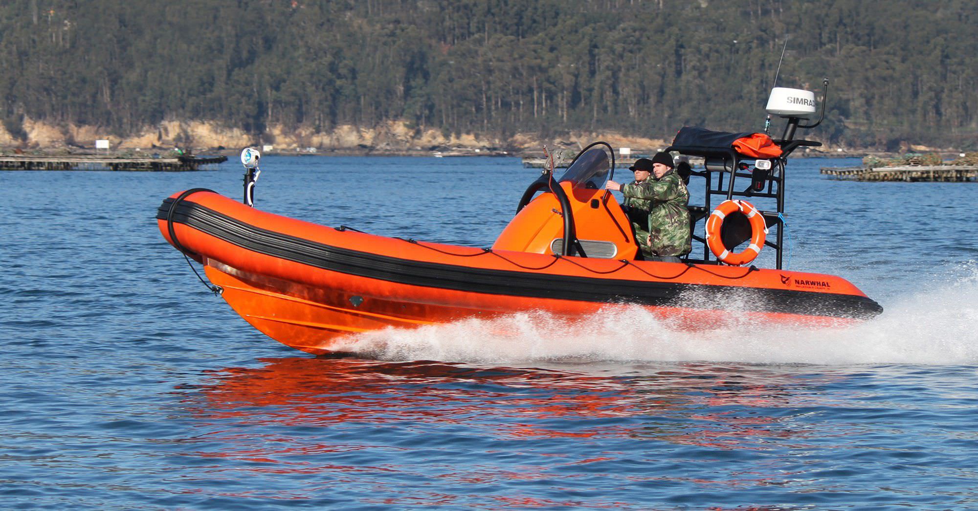 Bateau Professionnel Bateau De Sauvetage Frb Narwhal In Bord