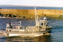 bateau de p&ecirc;che professionnelle : catamaran ALN 008 - WAVE FISHER 900 CLASS Alnmaritec