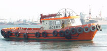 bateau de service : bateau de transport logistique et de personnel DUZGIT - 3 D&uuml;zgit