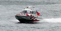 bateau de surveillance (rapide) 9.5M Lung Teh Shipbuilding Co.
