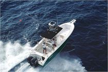 bateau de p&ecirc;che sportive : coque open hors-bord (bi-moteur, T-Top, &agrave; fly) 2900 CC Angler