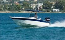 bateau &agrave; moteur : coque open hors-bord (T-Top) 21 PREDATOR  Bluefin Boats