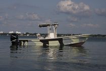 bateau de p&ecirc;che sportive : coque open hors-bord (T-Top, &agrave; fly) TARPON 26 Panga Fishing Boats