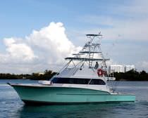 bateau de p&ecirc;che sportive : motor-yacht de luxe (sur mesure) 53' SPORT FISH Newton Boats
