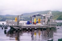 catamaran &agrave; moteur : bateau pour l'aquaculture professionnelle ALN 019 - WAVE WORKER 1100 CLASS  Alnmaritec