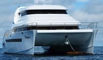 catamaran &agrave; moteur : motor-yacht de luxe TRAWLER 700 Dolphin