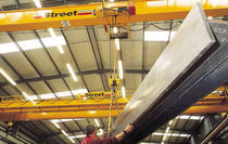 grue pour chantier naval : pont roulant suspendu SINGLE GIRDER Street Crane