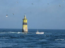 ligne d'effarouchement des oiseaux pour bateaux de p&ecirc;che  ICCI SEA-BIRD