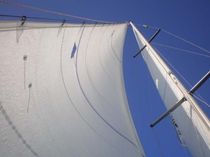 voile de course-croisi&egrave;re : grand-voile  OUTSIDER SAILS