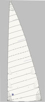 voile de croisi&egrave;re : grand-voile (coupe horizontale) LEECH BATTEN DL SAILS