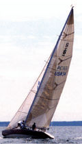 voile de r&eacute;gate : grand-voile  Haarstick