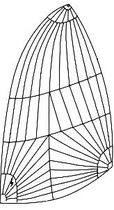 voile de r&eacute;gate : spinnaker asym&eacute;trique  Shore Sails
