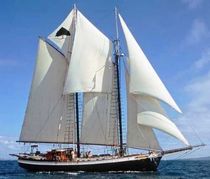 voilier traditionnel (type go&eacute;lette, sailing-yacht) TREE OF LIFE Covey Island Boatworks