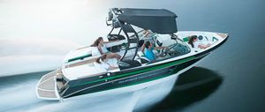 runabout in-bord / bow-rider / de wakeboard / max. 12 personnes