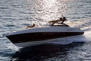 vedette in-bord / bimoteur / open / IPS