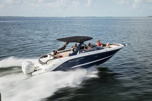 runabout hors-bord / bow-rider