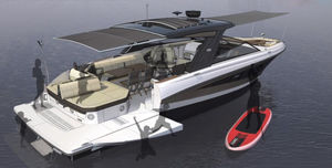 vedette in-bord / open / bow-rider / T-Top