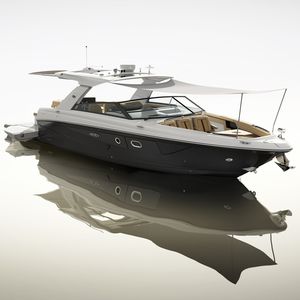 vedette in-bord / open / bow-rider / T-Top