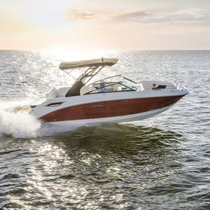 deck-boat in-bord / max. 14 personnes / bain de soleil / T-Top