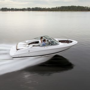 runabout in-bord / bow-rider / max. 10 personnes