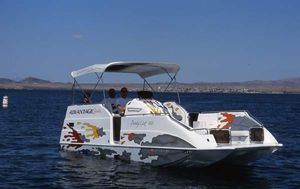 bateau ponton in-bord / stern-drive