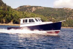 cabin-cruiser in-bord / hard-top / lobster