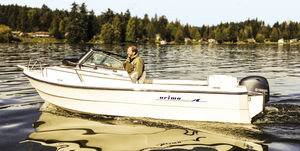 day-cruiser hors-bord / de pêche sportive