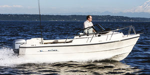 day-cruiser hors-bord / de pêche sportive