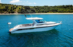 cabin-cruiser in-bord / hard-top / de pêche sportive / de plongée