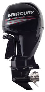 moteur plaisance / hors-bord / essence / 4 temps