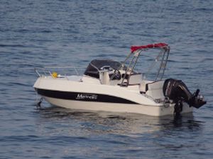 runabout in-bord / à double console / max. 6 personnes / avec cabine