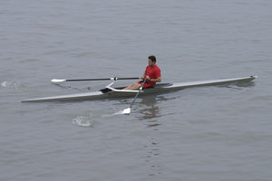 bateau d'aviron de loisir / skiff