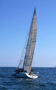 grand-voile / pour voilier de régate