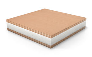 panneau sandwich décoratif / mousse / bois