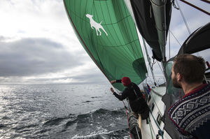 spinnaker / pour voilier de croisière / coupe radiale / Dacron®