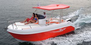 cabin-cruiser hors-bord / open / de sport / T-Top