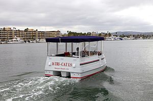 bateau ponton électrique / max. 9 personnes