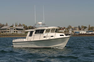 cabin-cruiser in-bord / hard-top / de pêche sportive / 4 couchages