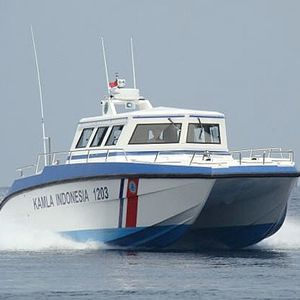 bateau de surveillance catamaran / hors-bord