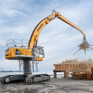 grue portuaire / articulée / sur chenilles