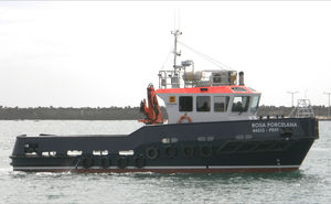 bateau de travail polyvalent in-bord / avec timonerie