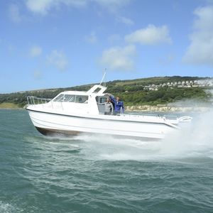 bateau de pêche-croisière catamaran / hors-bord / bimoteur / à cockpit fermé