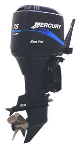 moteur pour bateau professionnel / hors-bord / essence / 2 temps